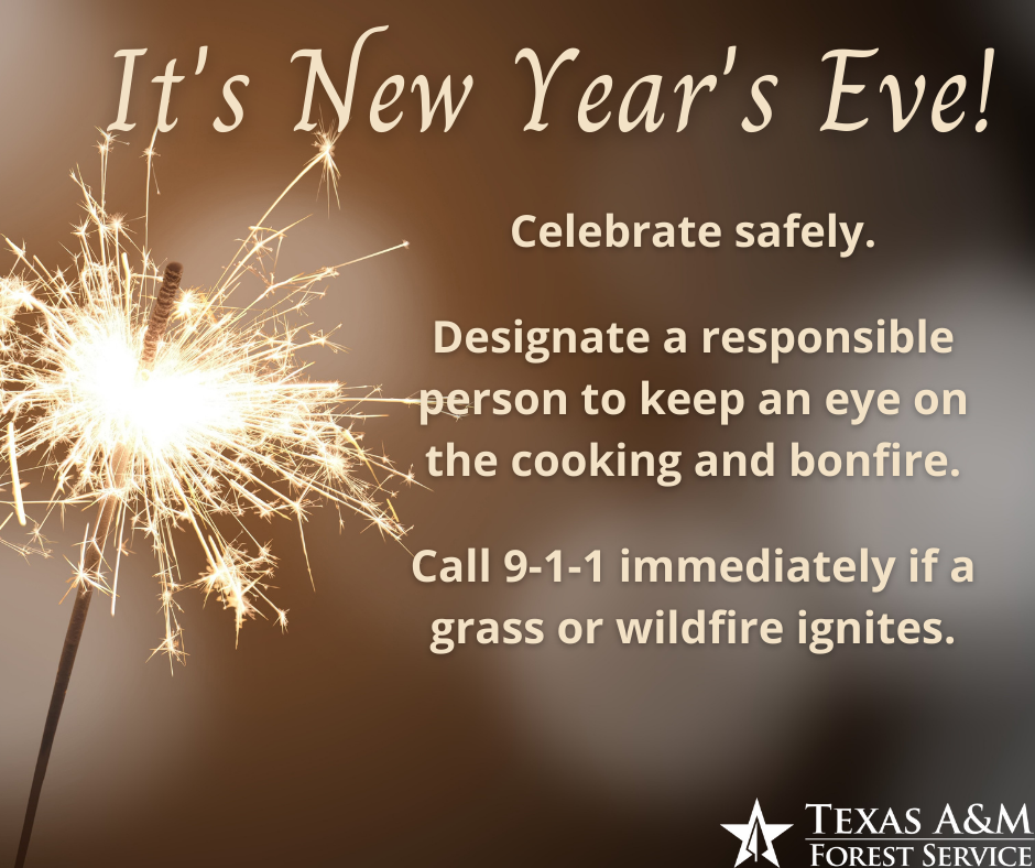 WinterWildfirePrevention_New Years Eve WinterWildfirePrevention_New Years Eve